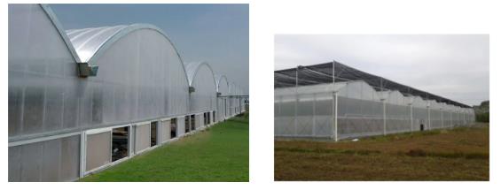 1610931964968964.jpg 4.jpg