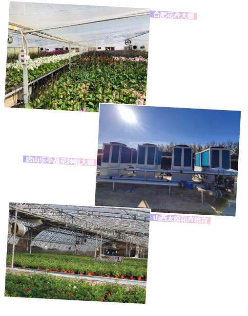 1610932184373959.jpg 9.jpg